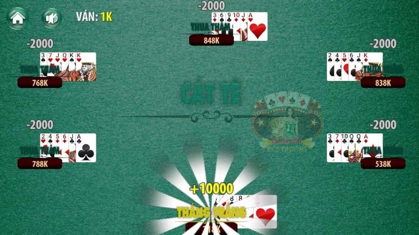 Mẹo chơi game bài Catte từ cao thủ lâu năm